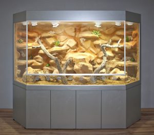 Terrarium Totale frontal