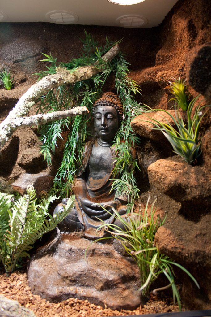 eingebauter Buddha in Felslandschaft