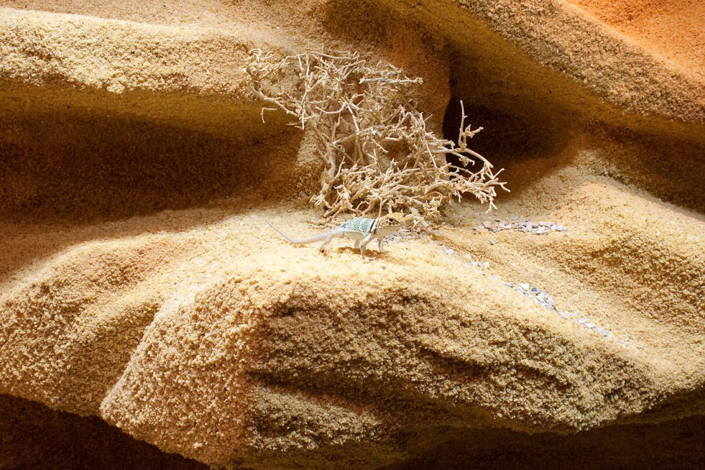 Sandsteinlandschaft