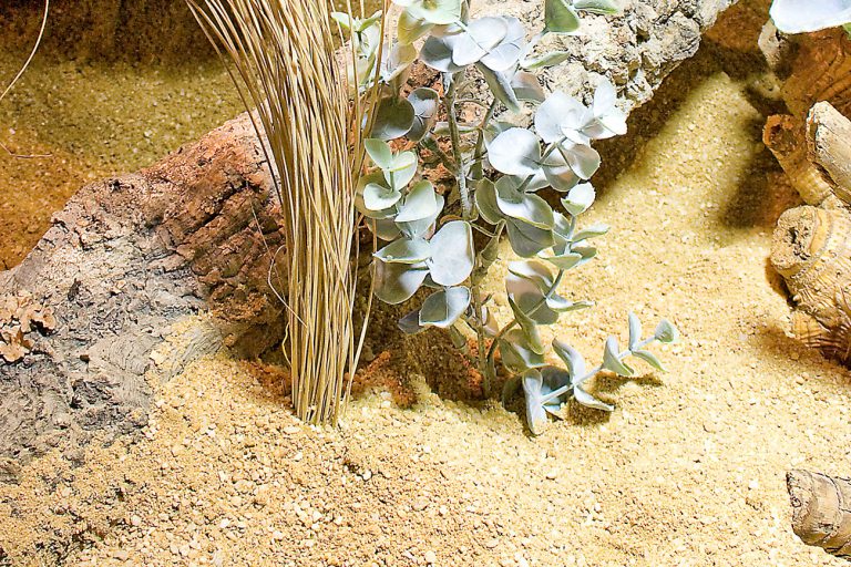 grober Sand