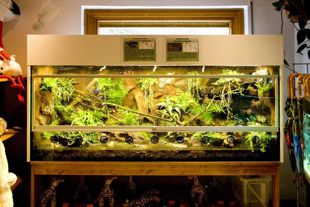 Paludarium komplett Hoppe Terrarienbau
