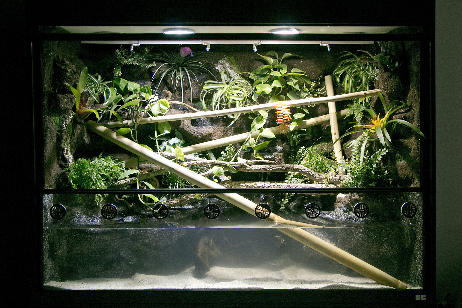 Paludarium für Vampirkrabben, Frösche, Fische und Taggeckos